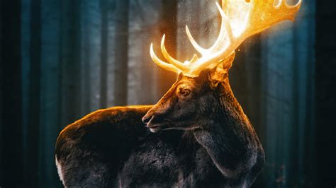 Journey into the Supernatural with the Magical Reindeer Kettle
